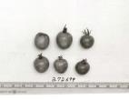 Click for 1 image(s) for this accession. FRUIT
